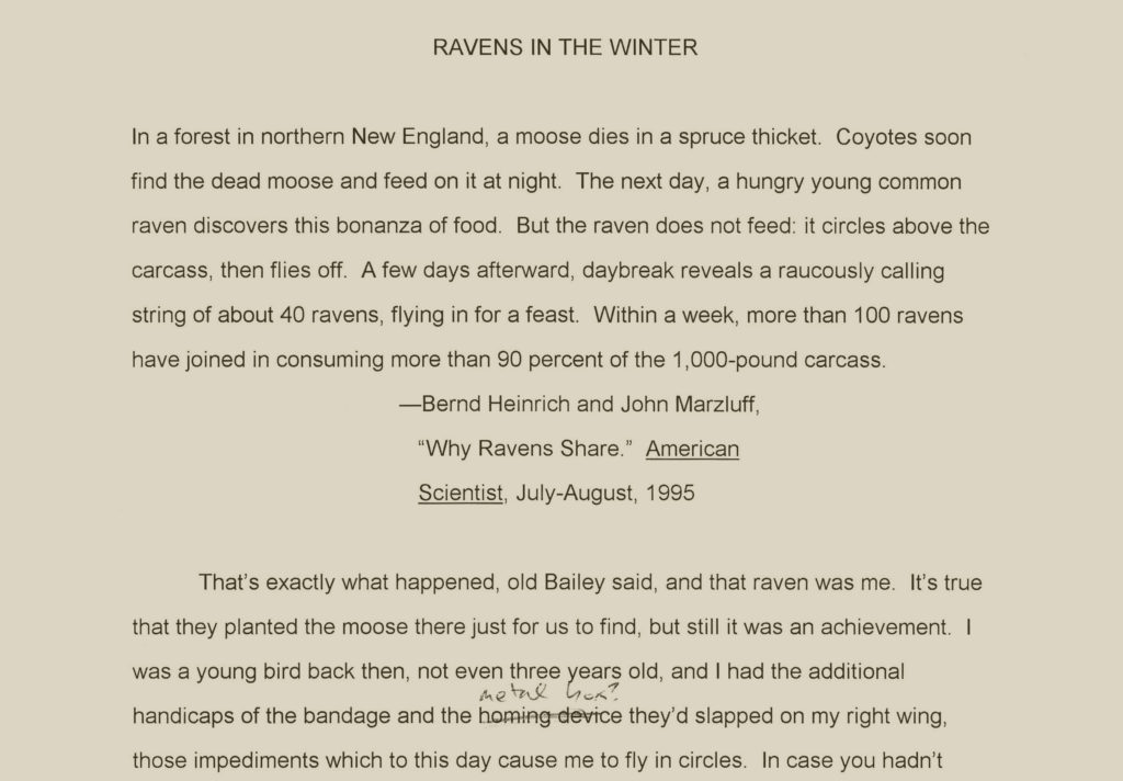 Ravens in the Winter by Greg Boettcher